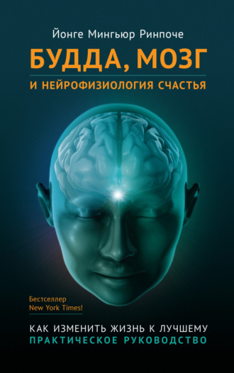 Будда, мозг и нейрофизиология счастья. Как изменить жизнь к лучшему