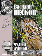 Полное собрание сочинений. Том 15. Чудеса лунной ночи