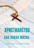 Христианство как новая жизнь. Беседы о главном