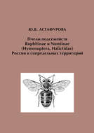 Пчелы подсемейств Rophitinae и Nomiinae (Hymenoptera, Halictidae) России и сопредельных территорий