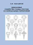 Цикадовые семейства Cixiidae России и сопредельных территорий