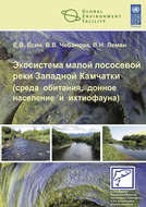 Экосистема малой лососевой реки Западной Камчатки (среда обитания, донное население и ихтиофауна)