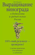 Выращивание винограда в Подмосковье и средней полосе России