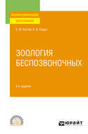 Зоология беспозвоночных 2-е изд., пер. и доп. Учебное пособие для СПО