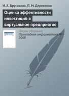 Оценка эффективности инвестиций в виртуальное предприятие