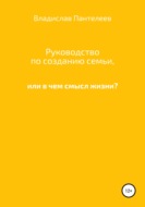 Руководство по созданию семьи, или В чем смысл жизни?