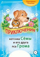 Приключения котёнка Сёмы и его друга пса Грома