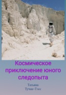 Космическое приключение юного следопыта