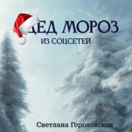 Дед Мороз из соцсетей