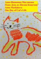 Один день из жизни кошечки. One Day of Cat\'s Life