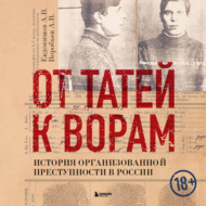 От татей к ворам. История организованной преступности в России