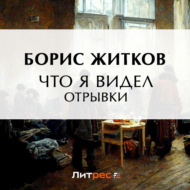 Что я видел (отрывки)