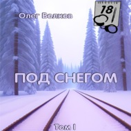 Под снегом. Том I