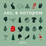 Лес, в котором ни одного чистого водоема. Зачем беречь воду?