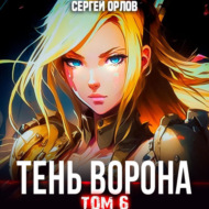 Тень Ворона – 6