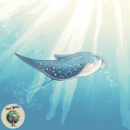 Мушкетеры подводного царства: всё о скатах-хвостоколах