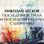 Последняя встреча и последняя разлука с Шевченко