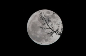 Притягательная Луна: как этот спутник влияет на Землю?
