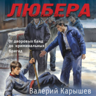 Любера. От дворовых банд до криминальных бригад