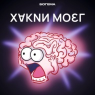 Почему в них столько злости? Откуда берутся хейтеры и как правильно относиться к негативу в интернете?