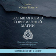 Большая книга современной магии. Практики работы с рунами и стихиями природы