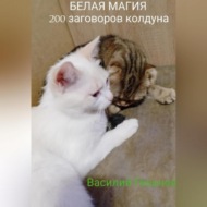 Белая магия. 200 заговоров колдуна