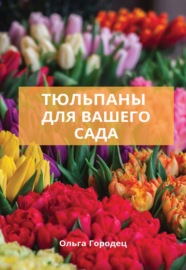 Тюльпаны для вашего сада