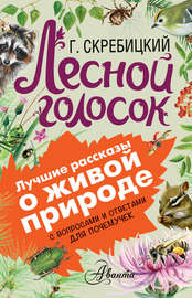 Лесной голосок. С вопросами и ответами для почемучек