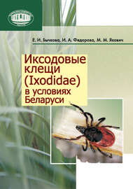 Иксодовые клещи (Ixodidae) в условиях Беларуси