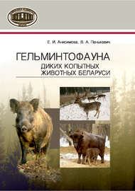 Гельминтофауна диких копытных животных Беларуси