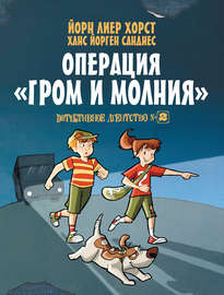 Детективное агентство №2. Операция «Гром и молния»