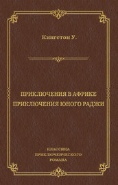 Приключения в Африке. Приключения юного раджи (сборник)