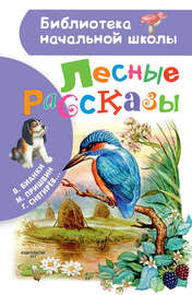 Лесные рассказы