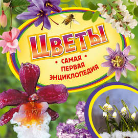 Цветы