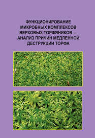 Функционирование микробных комплексов верховых торфяников – анализ причин медленной деструкции торфа