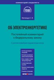 Комментарий к Федеральному закону от 26 марта 2003 г. № 35-ФЗ «Об электроэнергетике» (постатейный)