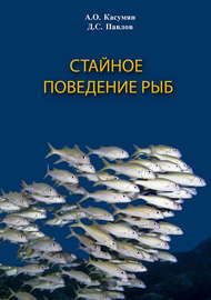 Стайное поведение рыб