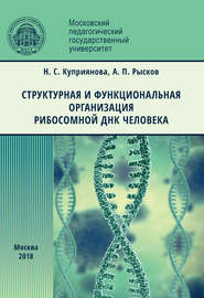 Структурная и функциональная организация рибосомной ДНК человека