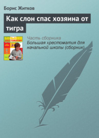 Как слон спас хозяина от тигра