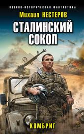 Сталинский сокол. Комбриг