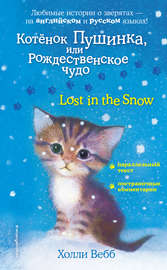 Котёнок Пушинка, или Рождественское чудо \/ Lost in the Snow