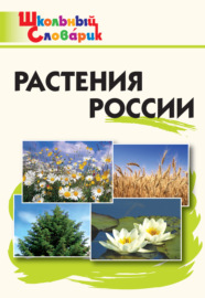 Растения России. Начальная школа
