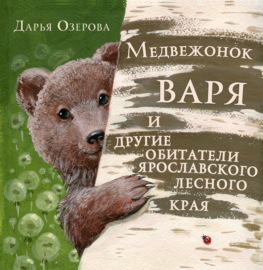 Медвежонок Варя и другие обитатели ярославского лесного края
