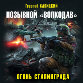 Позывной «Волкодав». Огонь Сталинграда