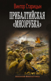 Боевой 41 год. Прибалтийская «мясорубка»