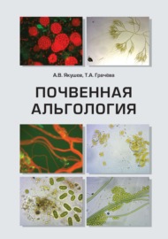 Почвенная альгология. Учебное пособие к курсу лекций и практическим занятиям «Почвенные водоросли»