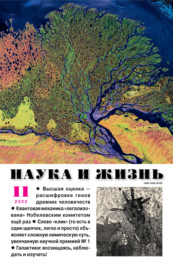 Наука и жизнь №11\/2022