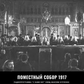 Поместный собор 1917г.