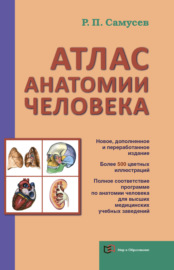 Атлас анатомии человека. Учебное пособие для студентов высшего профессионального образования