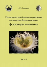 Руководство для большого практикума по зоологии беспозвоночных: форониды и мшанки. Часть 1